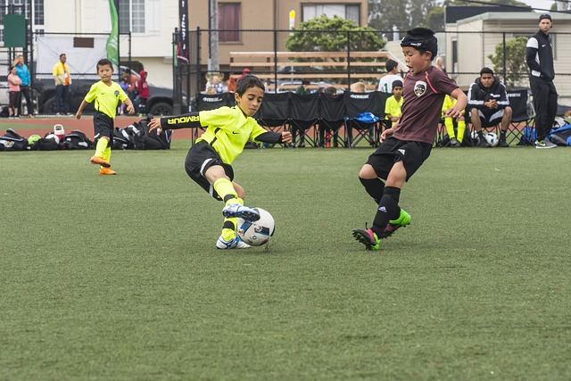 7战全胜净胜球+29，挪威无限接近2026美加墨世界杯