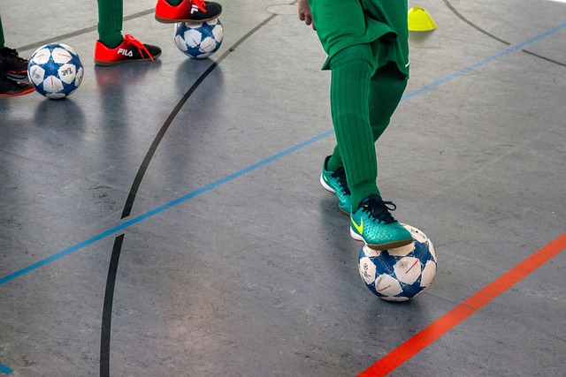 特技表演等 特技表演等