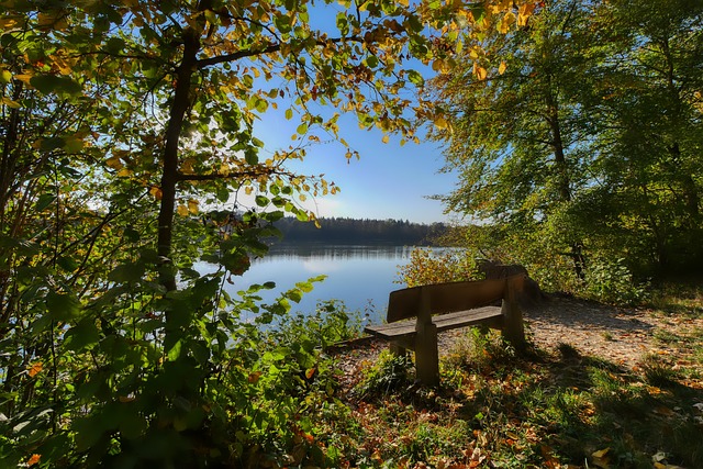 便备受关注 便备受关注
