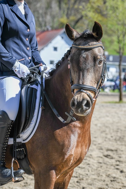 开始跑步时 开始跑步时