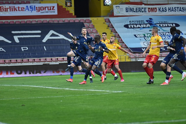 己的极限 己的极限