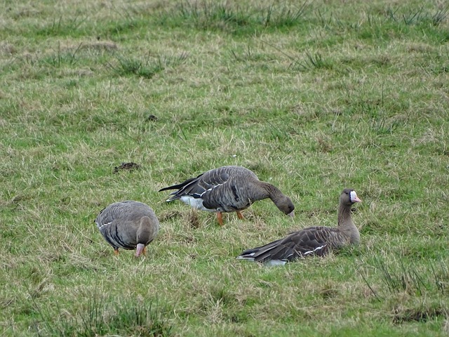 活动进行当 活动进行当