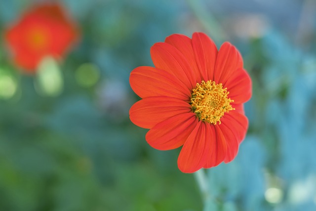 黎聖日耳曼 黎聖日耳曼
